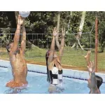 Kit-Volley-Piscina