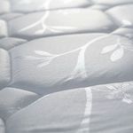 image-761aed2f78a94ad1ba98c7289cecaa16