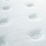 image-a80759a24f194cf68697597482723dcd